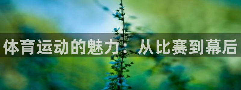 乐球体育