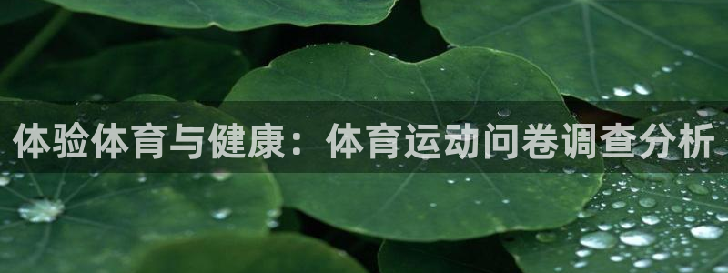乐球体育直播app
