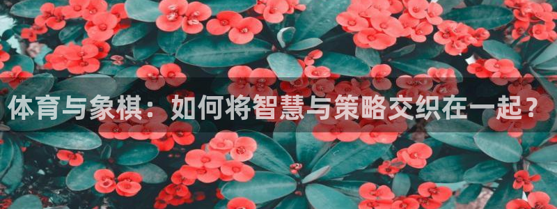 乐球体育在线观看