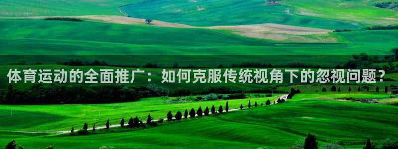 乐球体育d罗直播间