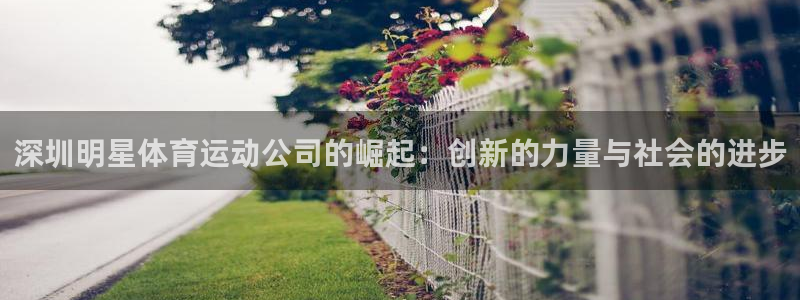 乐球体育直播nba比赛