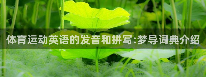 乐球体育小鱼直播在线观看